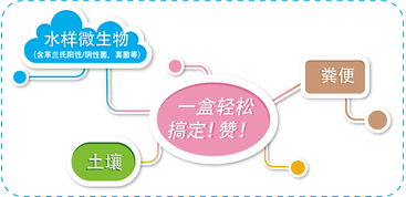 磁珠家族新成員 生工生物為生命科學提供更全面的產品與技術服務