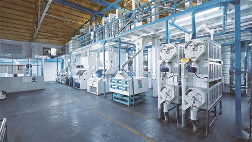 盛寶盛妝亮相深圳博覽會(huì) 科技賦能高端食品與農(nóng)產(chǎn)品新未來(lái)