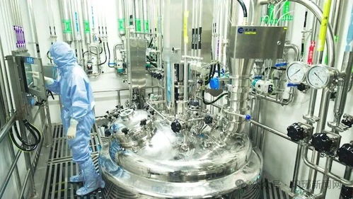 臨沂在線網(wǎng)站技術(shù)服務(wù) 構(gòu)建高效穩(wěn)定的網(wǎng)絡(luò)平臺(tái)