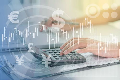 投資管理公司的價(jià)值評估 核心要素與策略解析